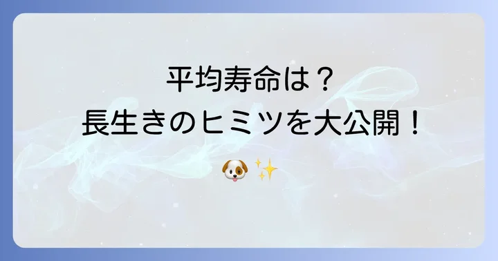 チワワの平均寿命はどれくらい?小型犬の中でも長寿な理由