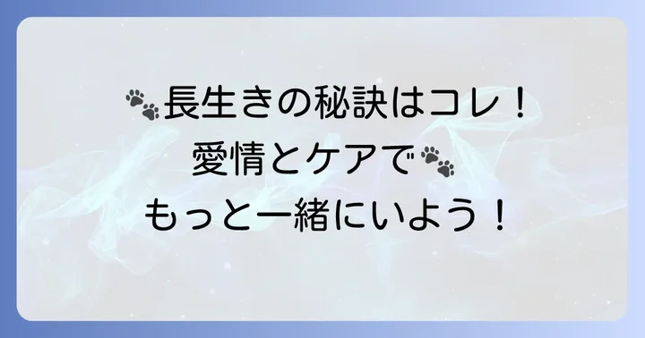 愛犬チワワを長生きさせるための具体的なコツ