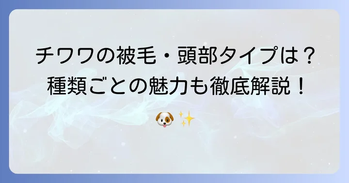 チワワの主な種類とそれぞれの魅力