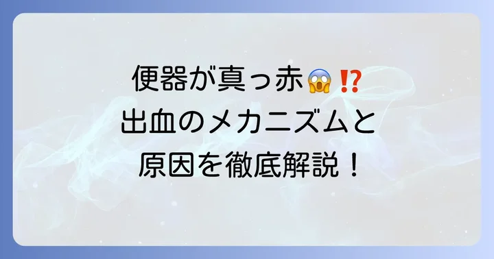 切れ痔で便器が真っ赤になるのはなぜ?出血のメカニズムと特徴
