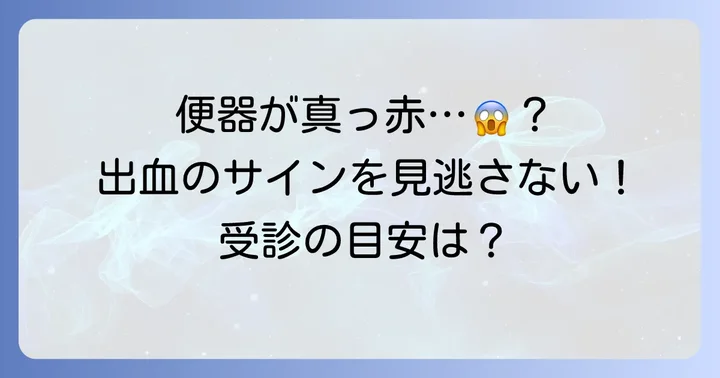 便器が真っ赤な出血!危険なサインと病院受診の目安