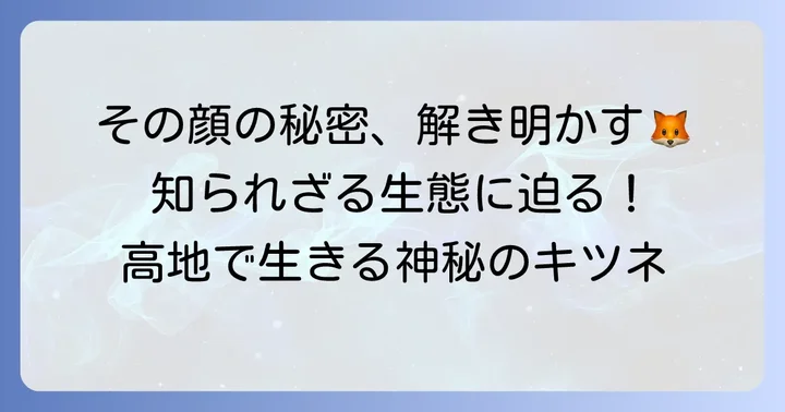 チベットスナギツネとは？その生態と特徴を徹底解説