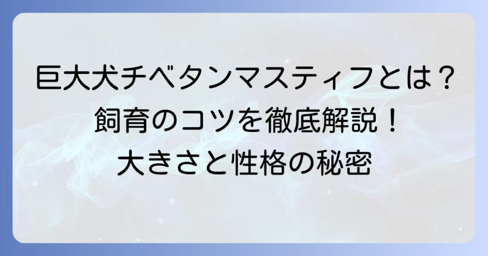 チベタンマスティフの驚異的な大きさとは？飼育のポイントと知っておくべきこと