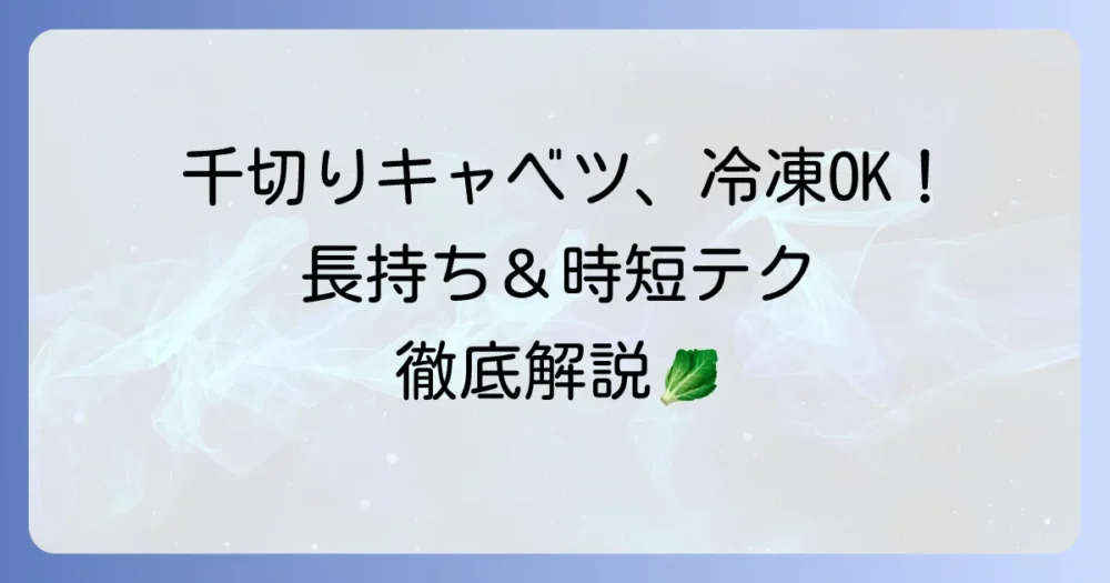 市販の千切りキャベツは冷凍できる？長持ちさせる保存方法と活用レシピを徹底解説