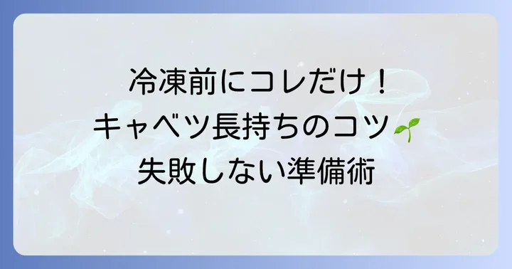 市販の千切りキャベツを冷凍する前の準備と大切なコツ
