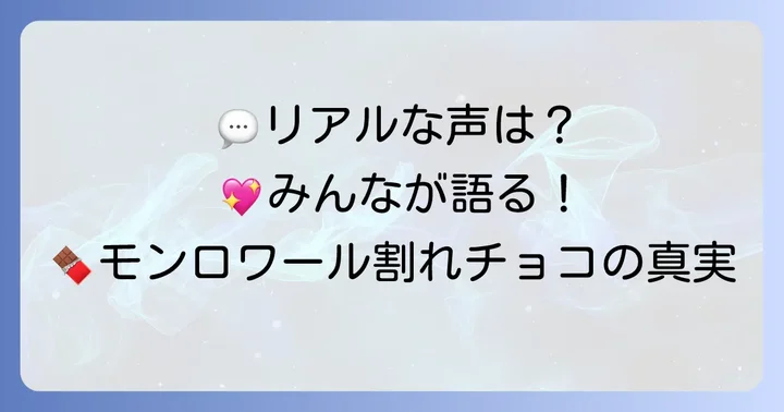 モンロワール割れチョコ詰め合わせの口コミ・評判を徹底調査