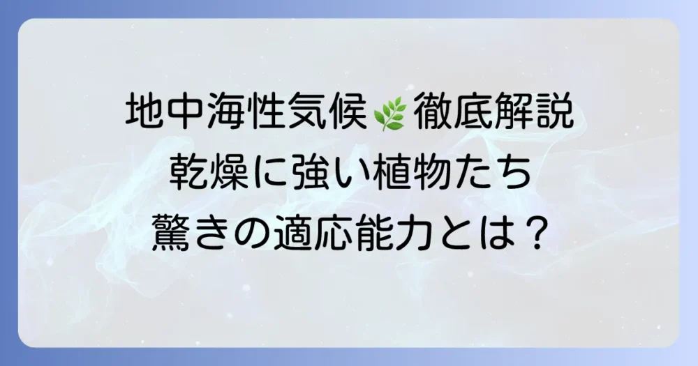 地中海性気候の植生の特徴と適応戦略を徹底解説