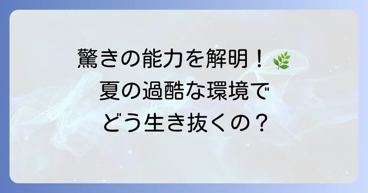地中海性気候植生の植物が持つ驚きの適応能力