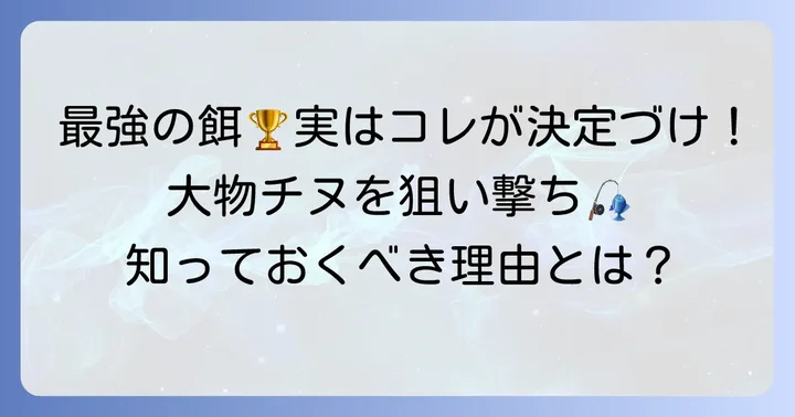 チヌ釣りでカニ餌が最強な理由とは？