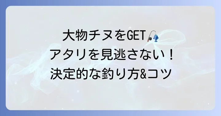 実践！カニ餌を使ったチヌの釣り方とアワセのタイミング