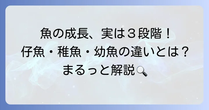 「仔魚」「稚魚」「幼魚」の明確な違いを理解する