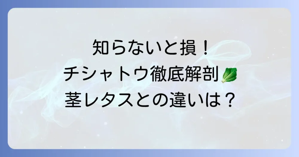 チシャトウとは？茎レタスや山くらげとの違いから美味しい食べ方まで徹底解説