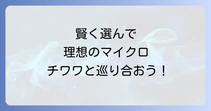 マイクロチワワの賢い選び方と購入方法