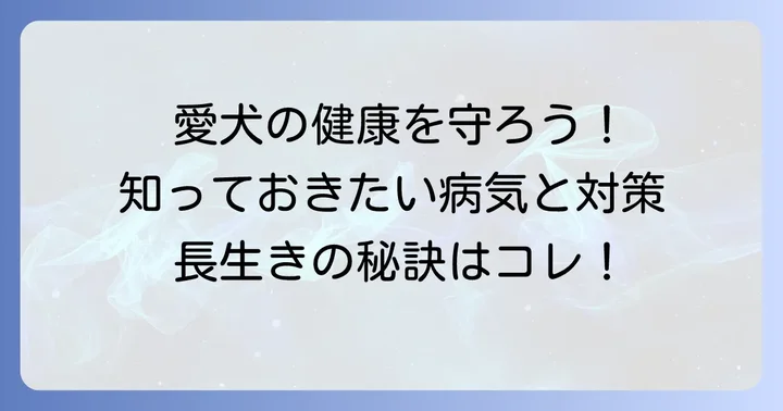 プーチー成犬がかかりやすい病気と健康管理のポイント