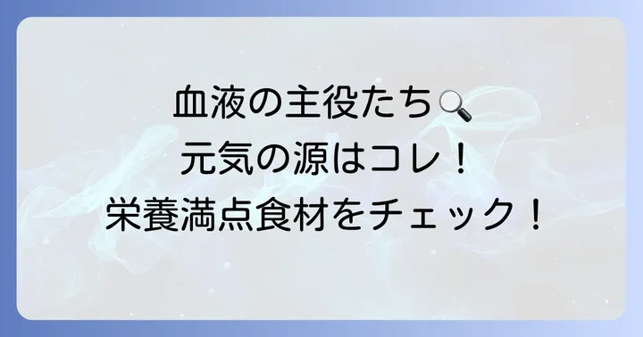 血液を作るために必要な栄養素とは？