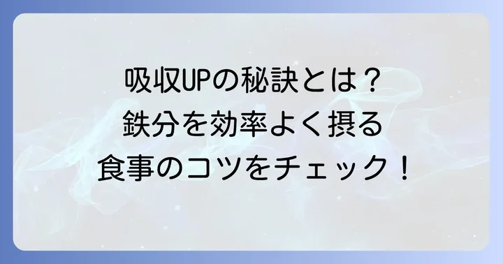 効率よく血液を作るための食事のコツ