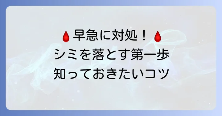 血液汚れは時間との勝負！まずは落ち着いて対処しよう