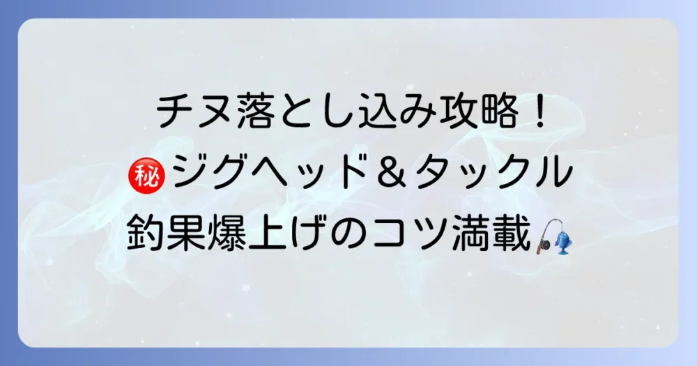 チヌ落とし込みジグヘッド釣り：釣り方徹底解説！おすすめタックルと釣果アップのコツ