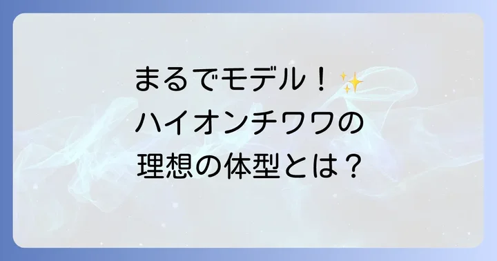 チワワの「ハイオン」タイプとは？理想の体型を理解する