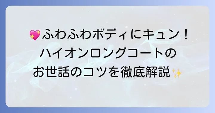 ハイオンロングコートチワワの飼い方と日常ケアのコツ