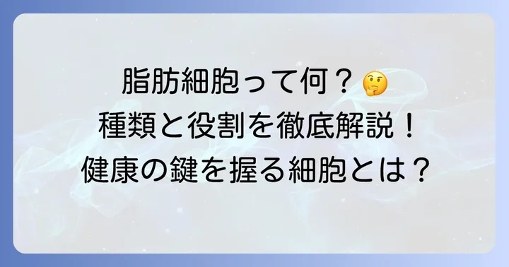 脂肪細胞とは？その種類と役割を理解する
