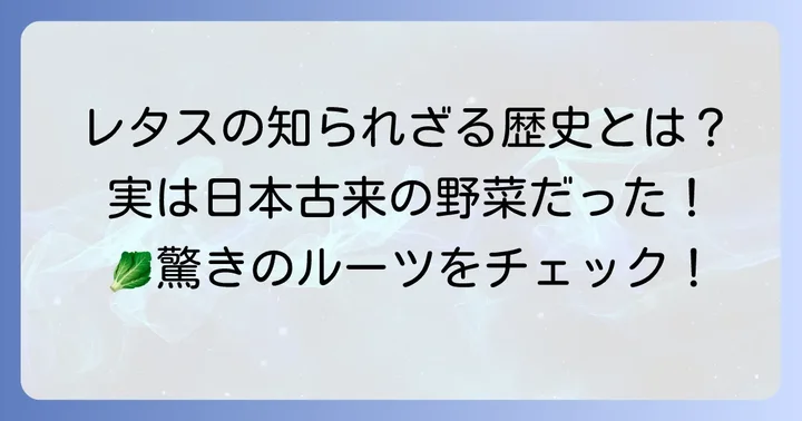 チシャという野菜の基本を知ろう：レタスの和名とその歴史