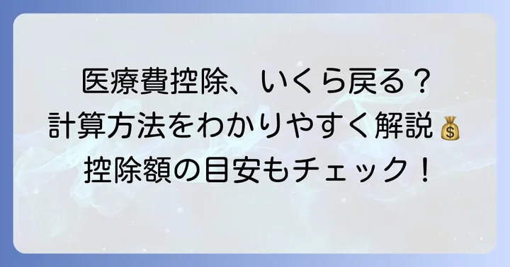 医療費控除の計算方法と控除額の目安