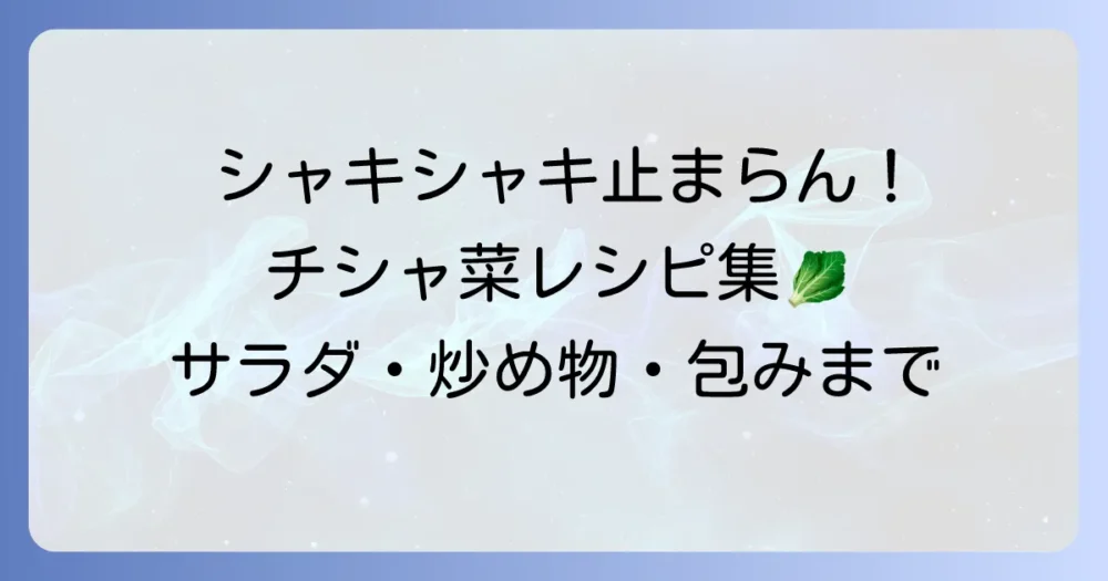チシャ菜・サンチュの人気レシピ！サラダ・炒め物からメインまで簡単絶品