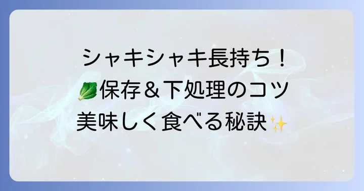 チシャ菜（サンチュ）を美味しく食べるコツと下処理・保存方法