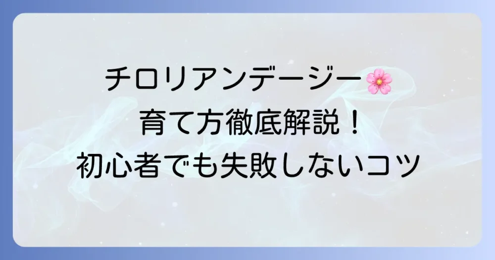 チロリアンデージーの育て方を徹底解説！初心者でも失敗しないコツとポイント