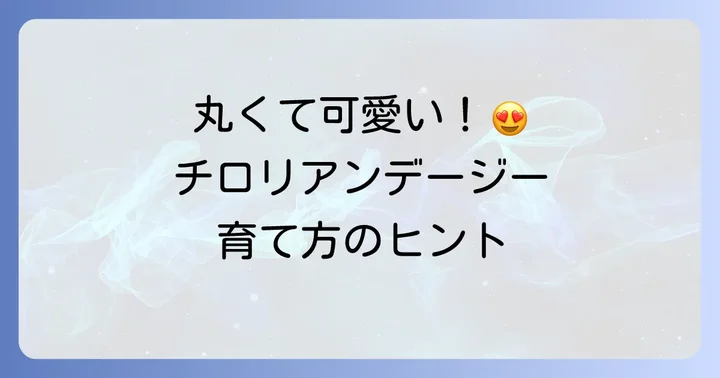 チロリアンデージーの基本情報と魅力
