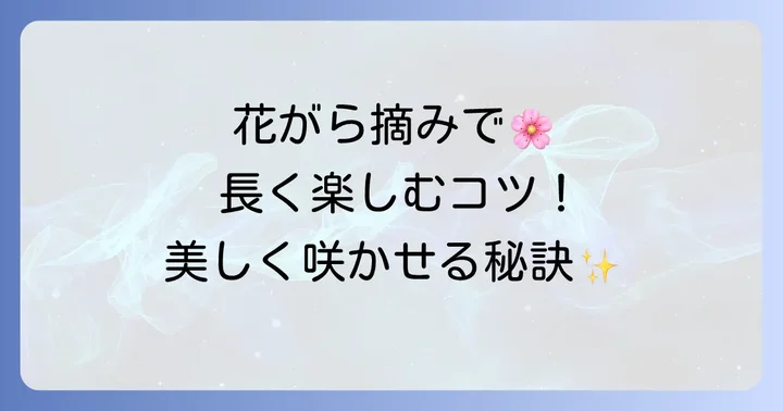 チロリアンデージーを美しく咲かせるための手入れ