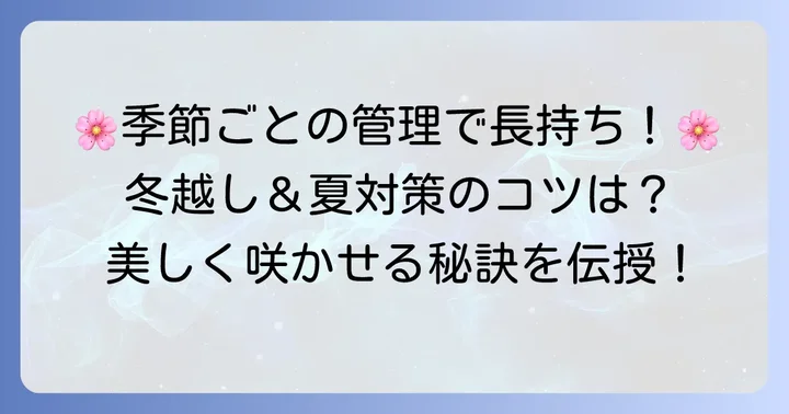 季節ごとのチロリアンデージー管理