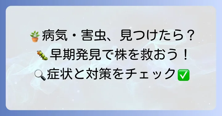 チロリアンデージーのトラブル解決：病気と害虫対策