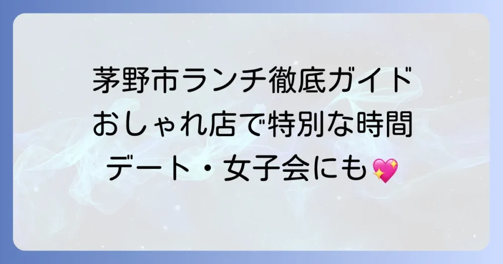 茅野市のおしゃれランチ厳選！デートや女子会にぴったりの人気店を徹底解説