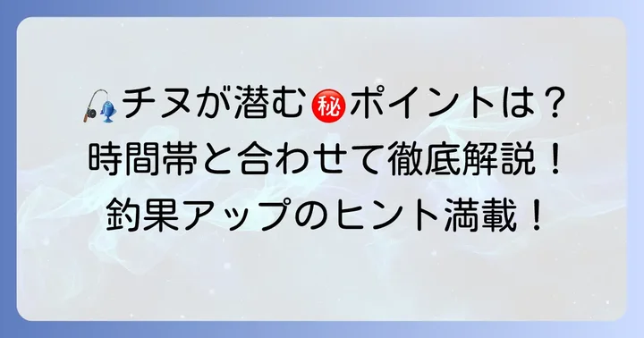 チヌが釣れるポイントと時間帯を徹底解説