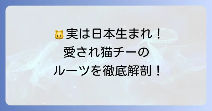愛らしい猫のキャラクター「チー」は日本の作品から生まれた！