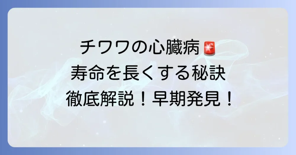 チワワの寿命と心臓病：愛犬との時間を長くするための徹底解説