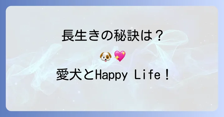チワワの平均寿命と長寿のコツ