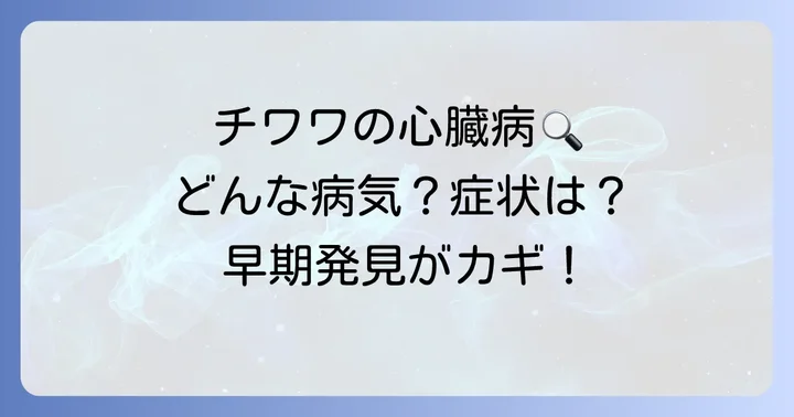 チワワに多い心臓病の種類と特徴