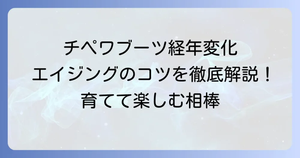 チペワエンジニアブーツの経年変化を徹底解説！魅力的なエイジングのコツと手入れ方法