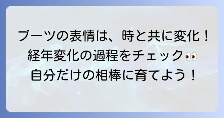 経年変化の段階別！チペワエンジニアブーツの表情の変化