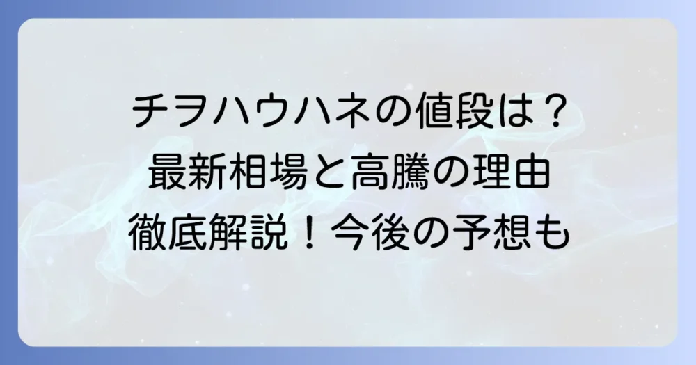 チヲハウハネのポケカ値段相場と高騰要因を徹底解説！買取価格や今後の予想も