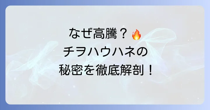 チヲハウハネポケカの値段が高騰している理由とは？