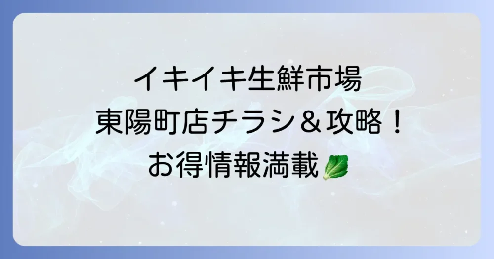 イキイキ生鮮市場のチラシ最新情報と東陽町店の魅力徹底解説