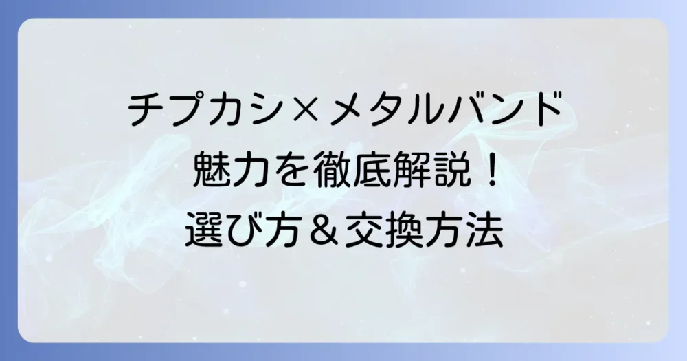 チプカシにメタルバンドを合わせる魅力と選び方！おすすめモデルや交換方法を詳しく紹介