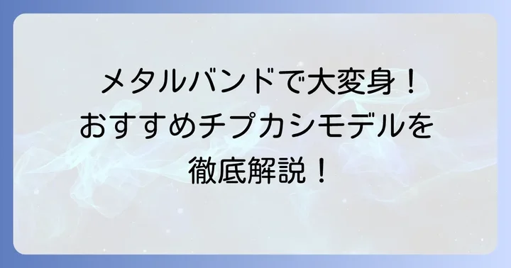 おすすめのチプカシメタルバンドモデル