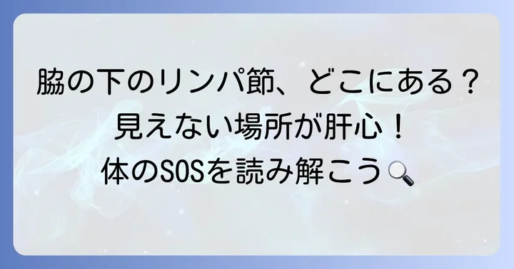 腋窩リンパ節の正確な位置を知ろう