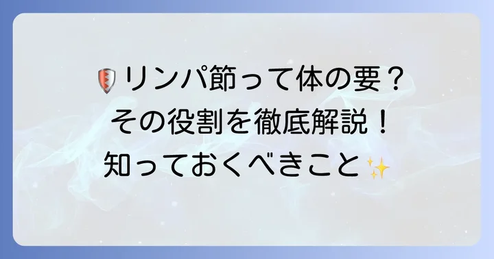 腋窩リンパ節が担う重要な役割