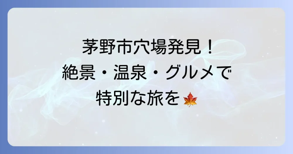 茅野市観光の穴場発見！知る人ぞ知る絶景、温泉、グルメで特別な旅を
